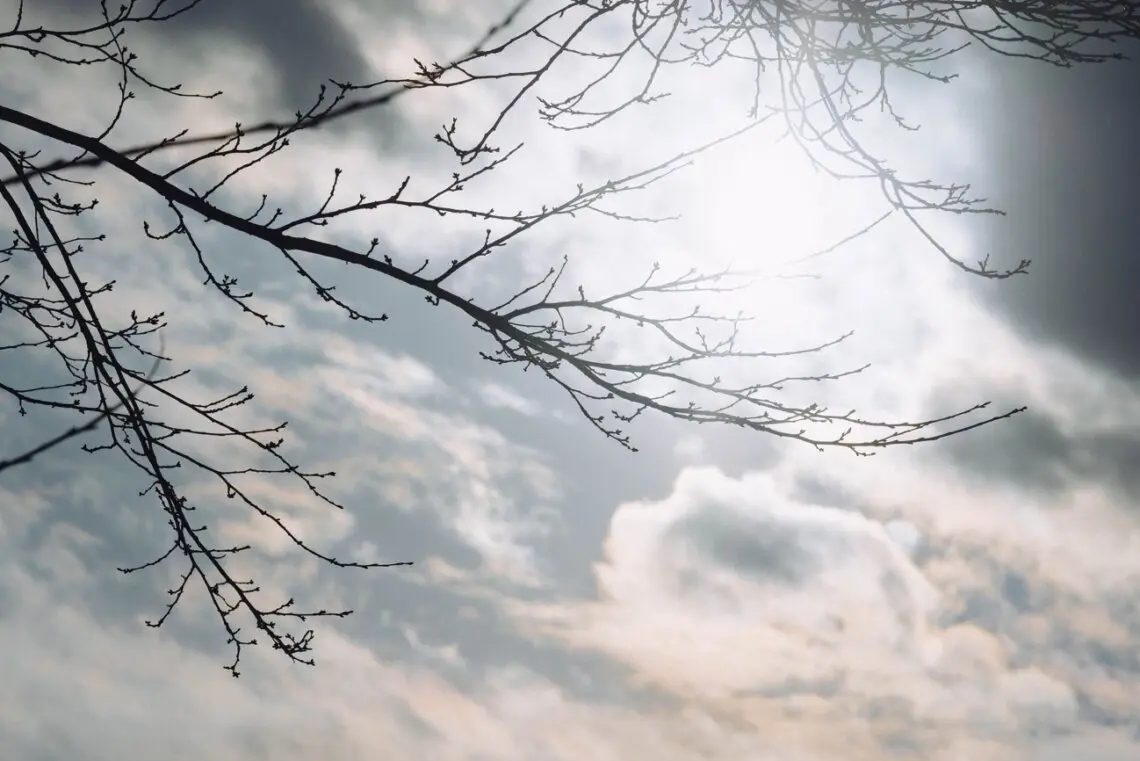 大会運営の視点